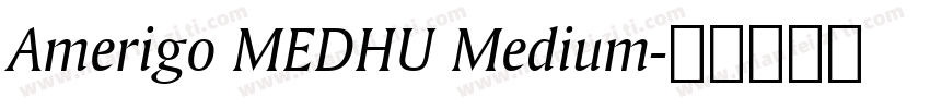 Amerigo MEDHU Medium字体转换